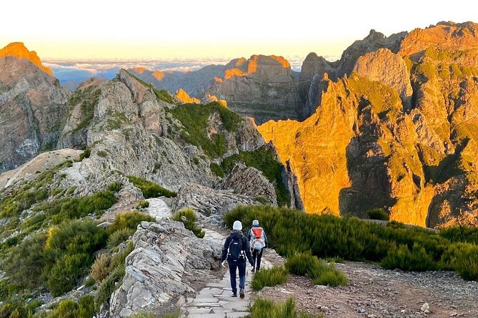 Morning Transfer To Pico Do Arieiro, Hike To Pico Ruivo & Return From Teixeira - Pickup logistics: small group van, clear handoff, and the one thing to double-check