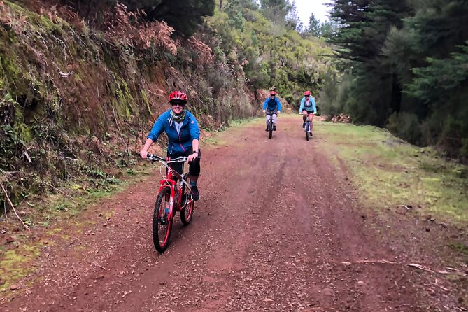 Mountain Biking Tour - Beginner Easy - The Poiso start around 1,400 m: views first, nerves later
