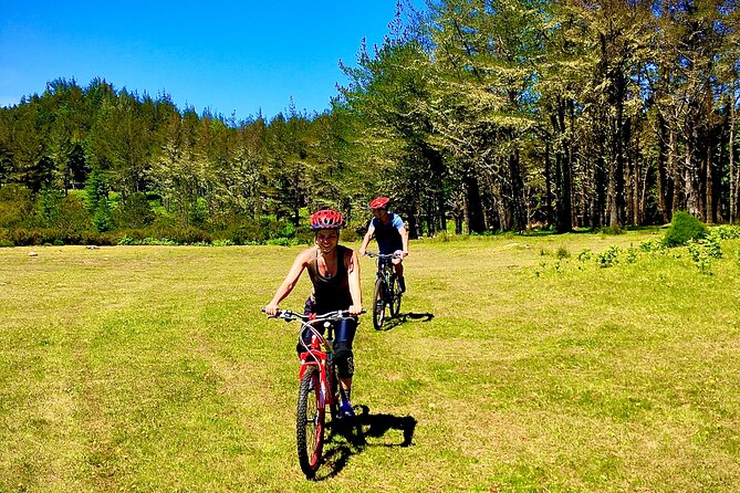 Mountain Biking Tour - Beginner Easy - The stop for a quick lunch, and how to handle it