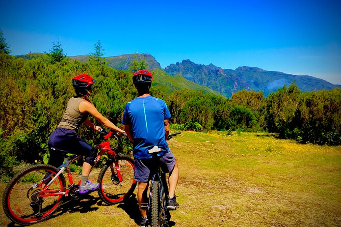 Mountain Biking Tour - Beginner Easy - Where you meet in Funchal, and how the timing works