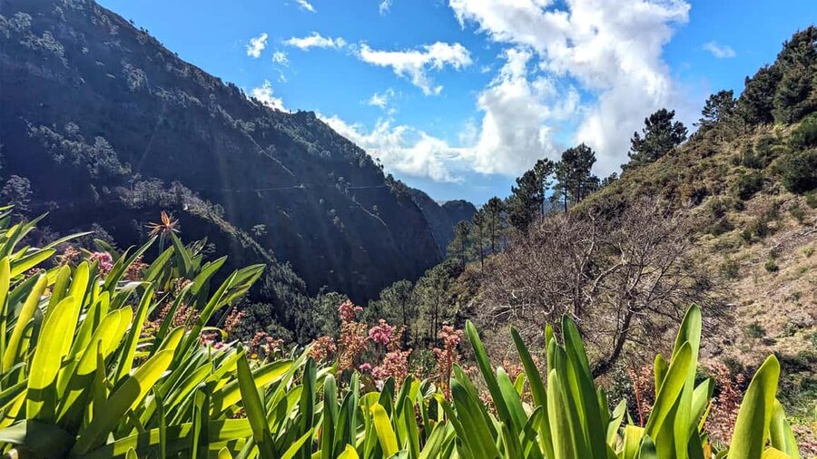 Mountain Wonders: Nuns Valley Half-day Private Jeep - Doca do Cavacas: a short coastal moment without a full detour