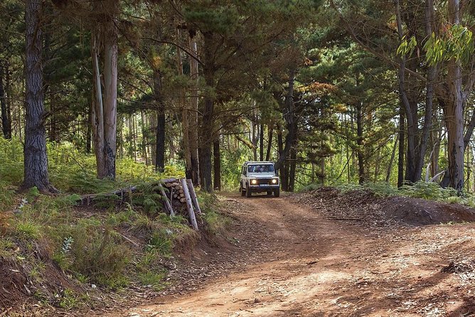 Nun's Valley & Sea Cliff - Half Day - Shared Tour - Practical Tips to Make the Most of Your Half-Day