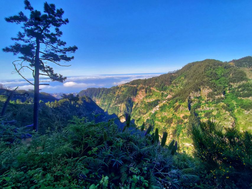 Nun's Valley - Pico dos Barcelos: your first big picture of Madeira