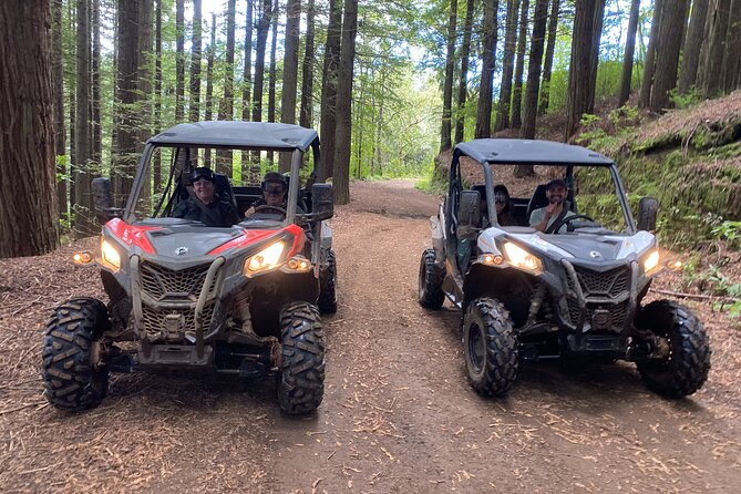 Off-Road Buggy Driving Experience - Madeira off-road buggy tours feel different for a reason