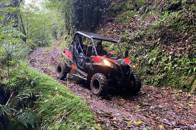 Off-Road Buggy Driving Experience - Should you book this Laurisilva buggy tour?