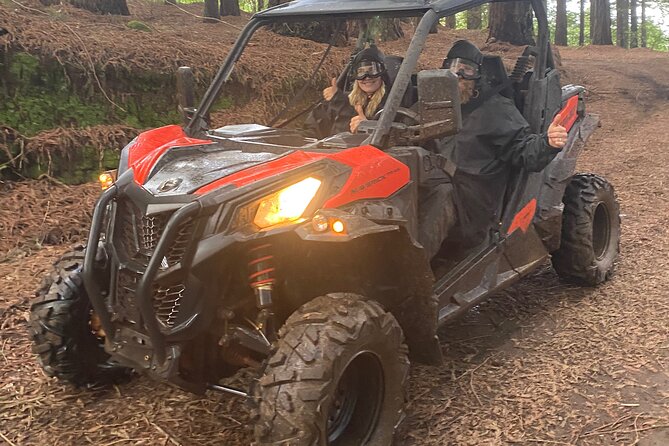 Off-Road Buggy Driving Experience - Entering the Laurisilva: your 2 hours in Santana forest mode