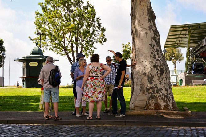 Old Funchal Walking Tour - A Small-Group First-Day Walk With Real Value