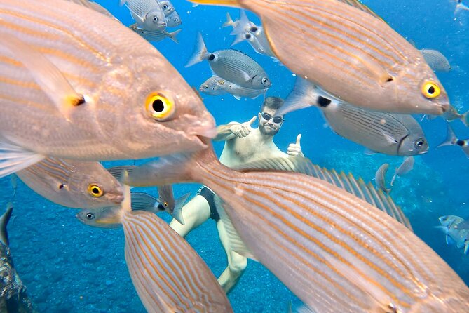 Open-Water Swimming in Madeira - How much it costs and whether it’s good value