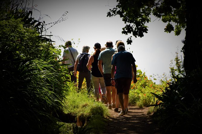 Paradise Valley Beauty Walk - A half-day levada walk that connects Vale do Paraíso to Rochão