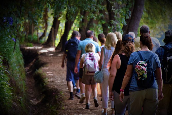 Paradise Valley Beauty Walk - The Camacha Wicker Factory stop, and why free admission matters