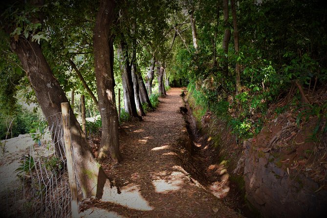 Paradise Valley Beauty Walk - Terraces, gardens, and Camacha views you can enjoy in stages