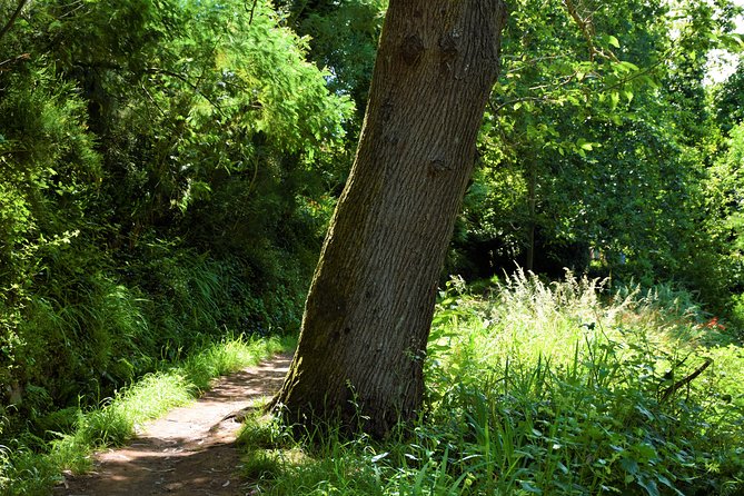 Paradise Valley Beauty Walk - Price and value for a guided nature walk