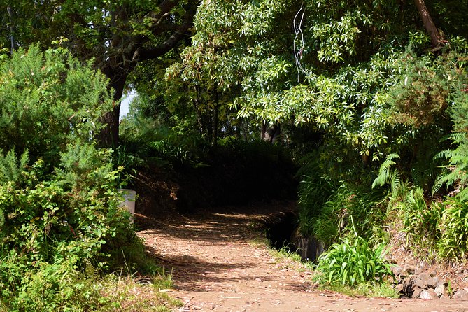 Paradise Valley Beauty Walk - Weather, timing, and planning your rest of the day