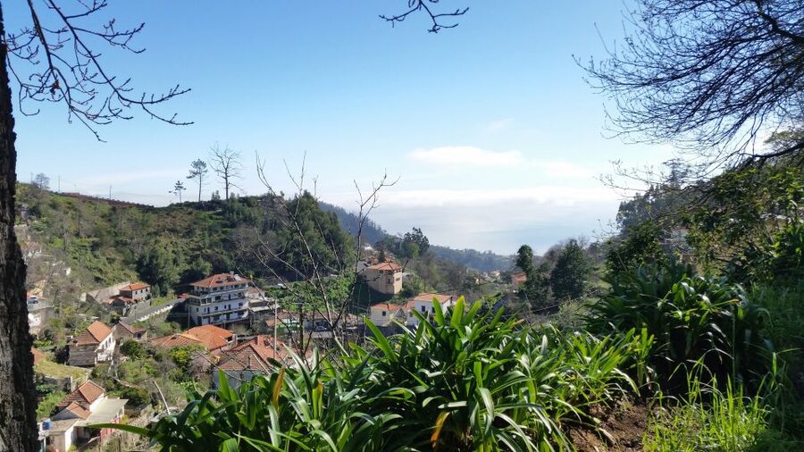 Paradise Valley half-day morning walk. - Paradise Valley to Camacha: what the walk covers in real life
