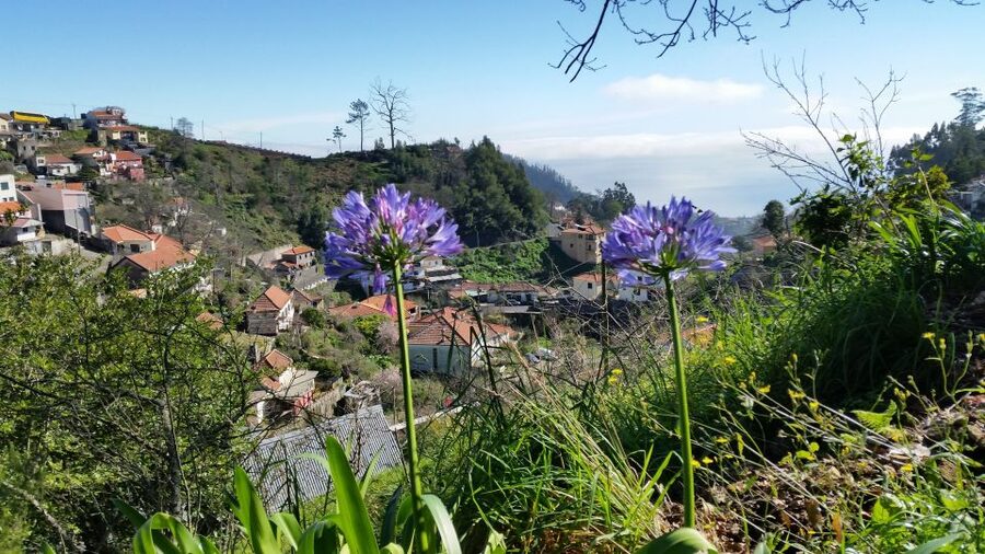 Paradise Valley half-day morning walk. - Terra terraces and the people who maintain them