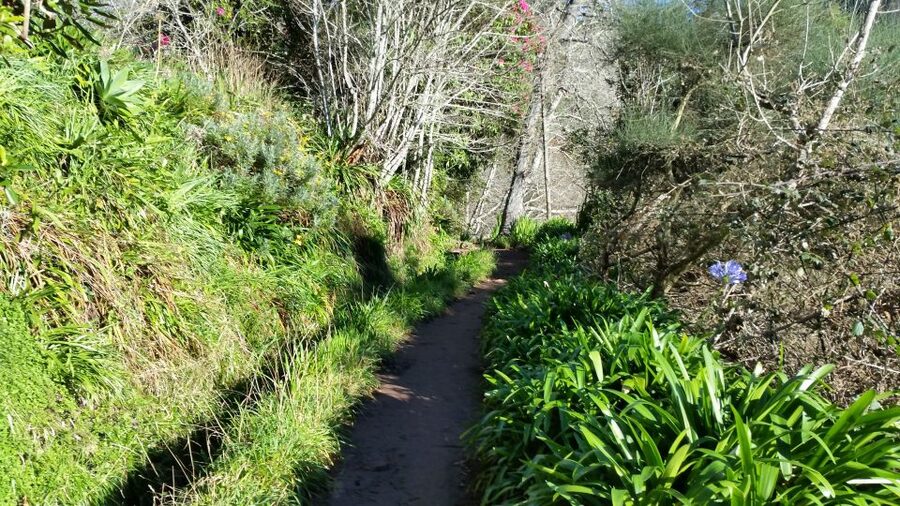 Paradise Valley half-day morning walk. - Who should book this walk in Paradise Valley