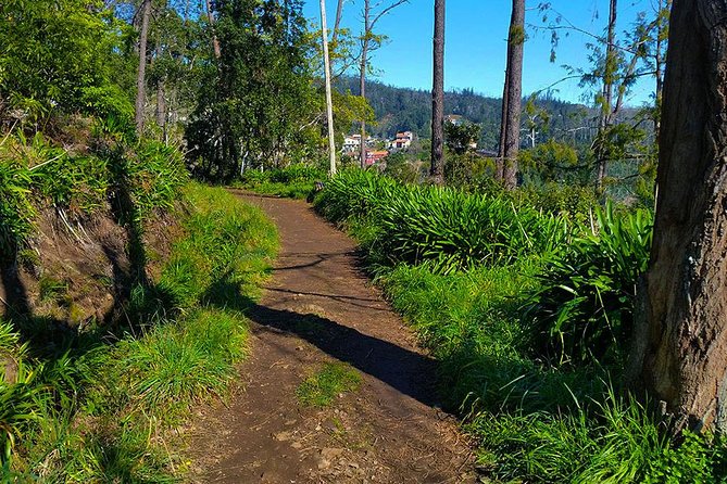 Paradise Valley - Levada Walk - From Your Hotel to Choupana: The Simple Setup