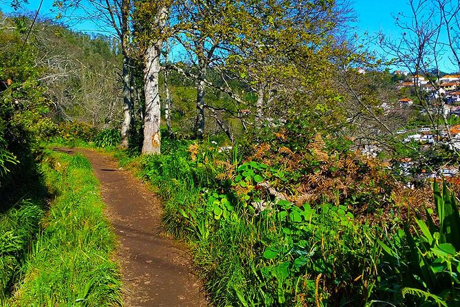 Paradise Valley - Levada Walk - Views Over Funchal and Camacha: Small Moments, Big Payoff
