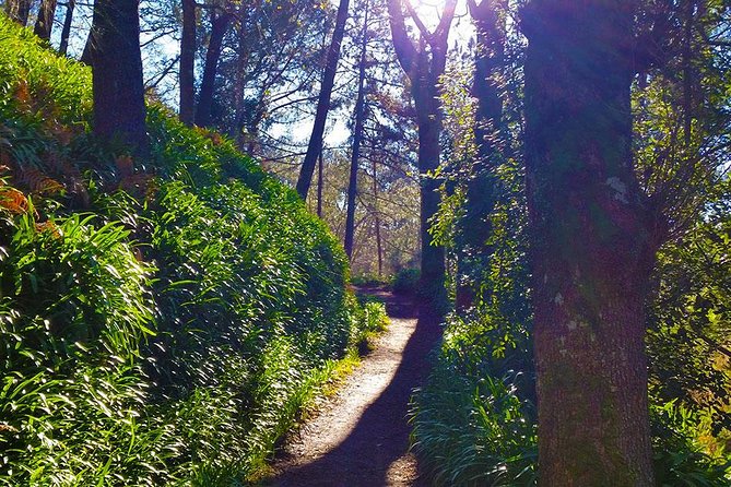 Paradise Valley - Levada Walk - Camacha Finish: Craft Culture After the Walk