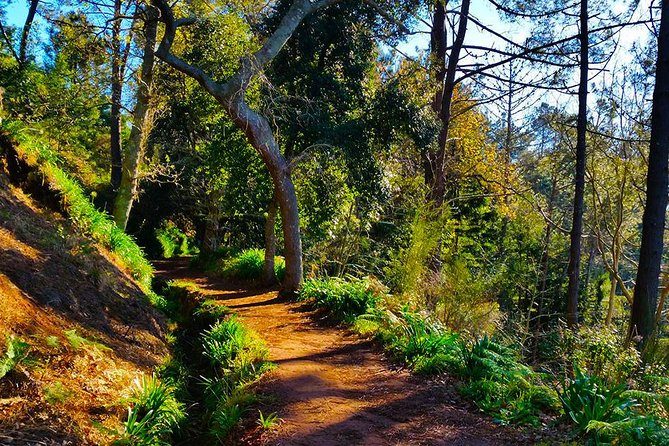 Paradise Valley - Levada Walk - Timing and Real-Life Day Flow (So You Don’t Feel Rushed)