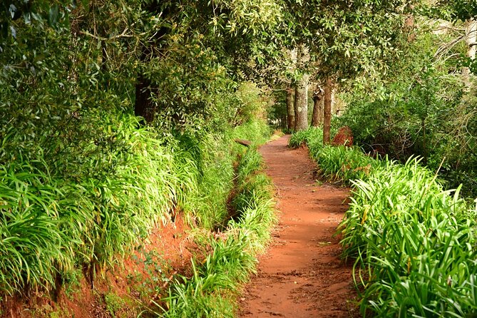 Paradise Valley Madeira Island Walk - Key highlights (quick reads)
