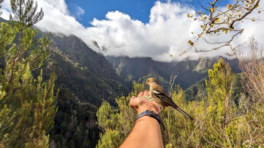 Pico do Arieiro in 4h: Immersive Private Experience (Cabrio) - Key highlights worth getting excited about