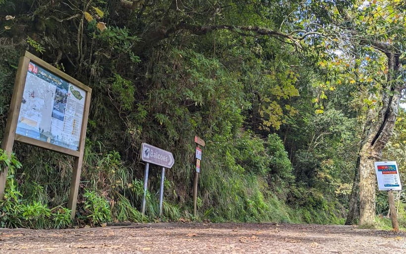 Pico do Arieiro in 4h: Immersive Private Experience (Cabrio) - Camacha: a mountain day with a real village moment