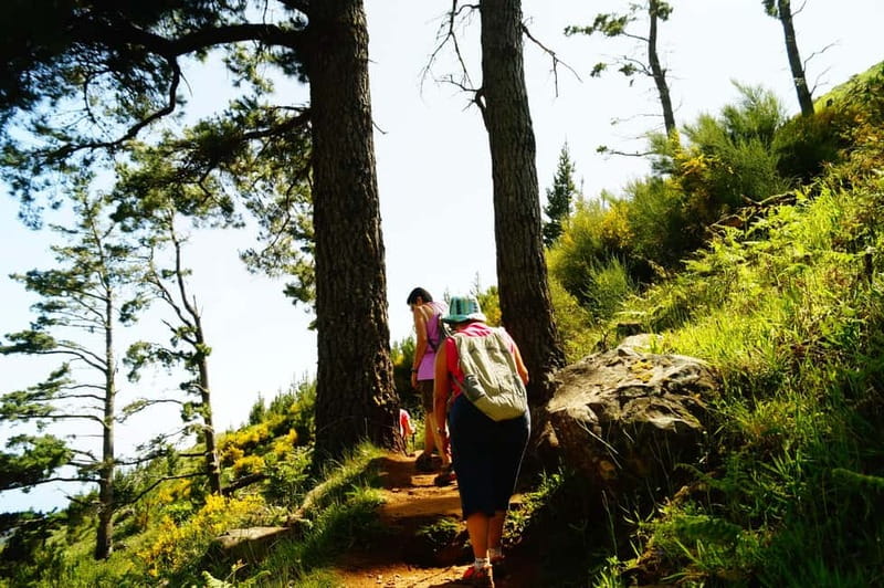 Pico do Arieiro - Stairway to Heaven Hike - Sunrise Option - Sunrise Over the Clouds: What to Expect and How to Prepare