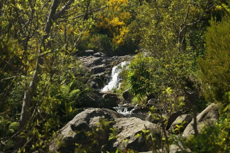 Pico do Arieiro - Stairway to Heaven Hike - Sunrise Option - Getting There From Funchal Without the Headache