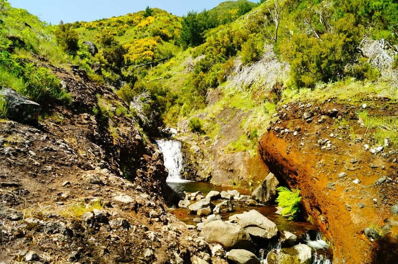 Pico do Arieiro - Stairway to Heaven Hike - Sunrise Option - Forest Fee Ticket: The One Extra Cost You Must Plan For