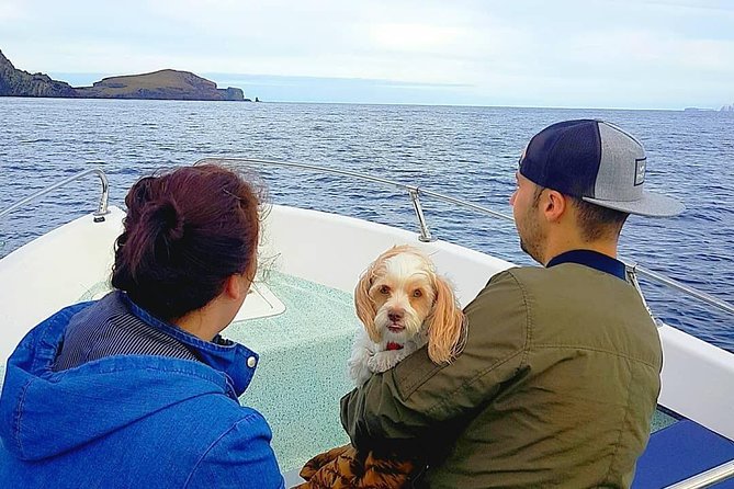 Ponta de São Lourenço Boat Tour - The Lighthouse Portion: Seeing What You Can’t Reach on Foot