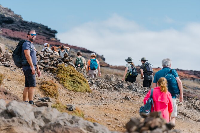 Ponta de São Lourenço (PR 8) - Hiking Tour in Madeira - Transport in an Air-Conditioned Van: Comfort Before the Cliffs