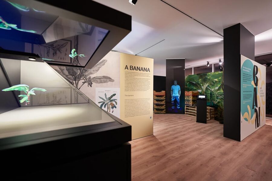 Ponta Do Sol : Madeira Banana Museum guided tour - Why BAM is worth your time in Madeira
