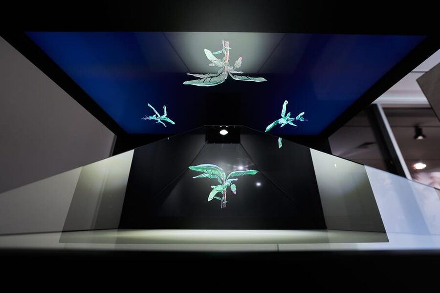 Ponta Do Sol : Madeira Banana Museum guided tour - Inside the museum: holograms, themed zones, and banana culture