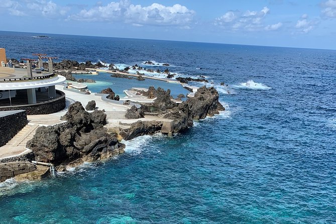 Porto Moniz Lava Pools, Fanal Forest and Skywalk 4x4 Experience - Vereda do Fanal: the cloud-forest walk that feels otherworldly