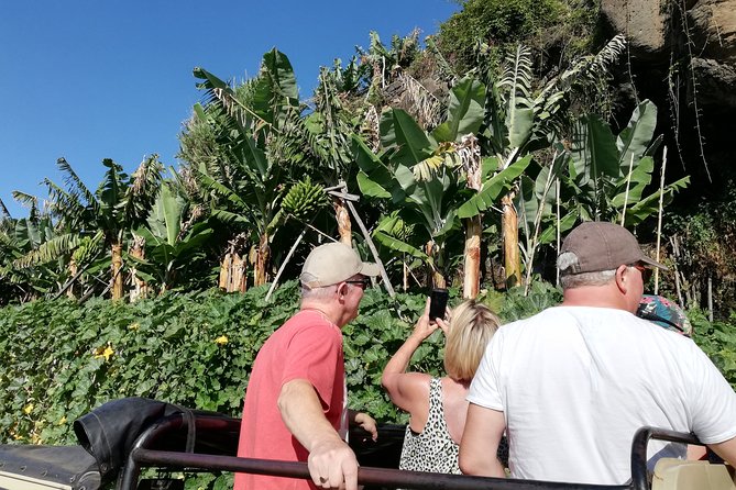 Porto Moniz - Private Full-Day - Safari 4x4 Tour - NorthWest - Porto Moniz Natural Swimming Pools: The Big Payoff and the Extra Cost