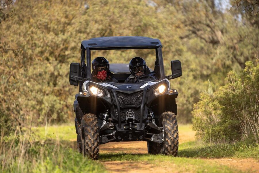Porto Santo: 180 Minutes Off-Road Buggy Tour - Booking Smart: Timing, languages, and getting the most from your 3 hours