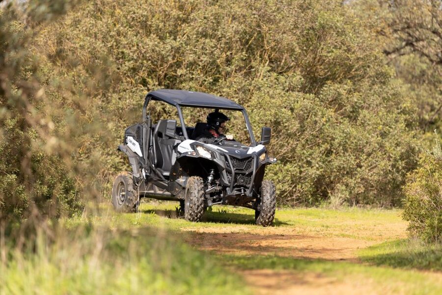Porto Santo: 180 Minutes Off-Road Buggy Tour - Your Buggy Setup: How the small group changes the experience
