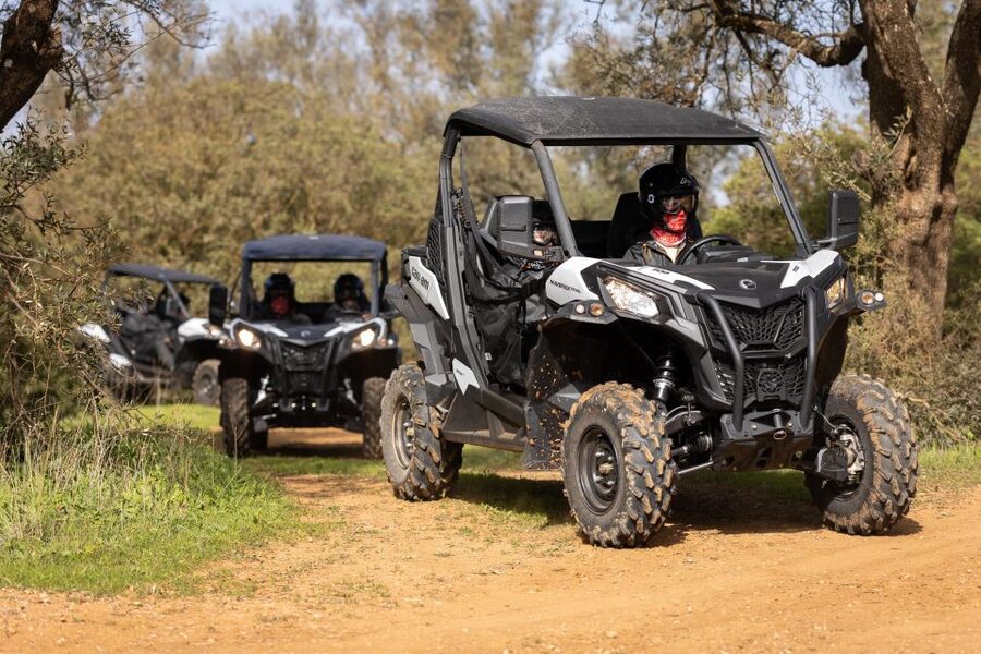 Porto Santo: 180 Minutes Off-Road Buggy Tour - The Guide Makes It: Tiago, Martin, and what good guidance feels like