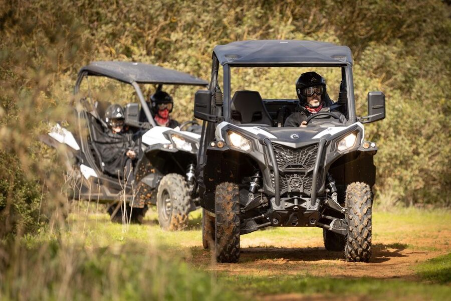 Porto Santo: 180 Minutes Off-Road Buggy Tour - Price and Value: Is $188 for a group up to 2 worth it?