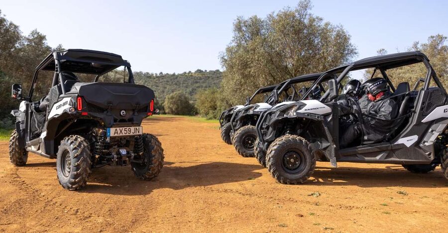 Porto Santo: 180 Minutes Off-Road Buggy Tour - Getting Ready: Licenses, calm driving rules, and the safety briefing