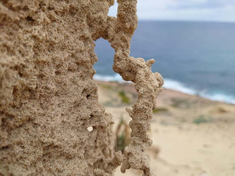 Porto Santo: Island Highlights 4x4 Tour with Hotel Transfers - Off-Road Dune Driving: The Fun Part, Done Carefully