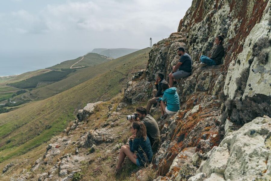 Porto Santo: Island Highlights 4x4 Tour with Hotel Transfers - Who This Tour Suits Best (and When to Skip It)