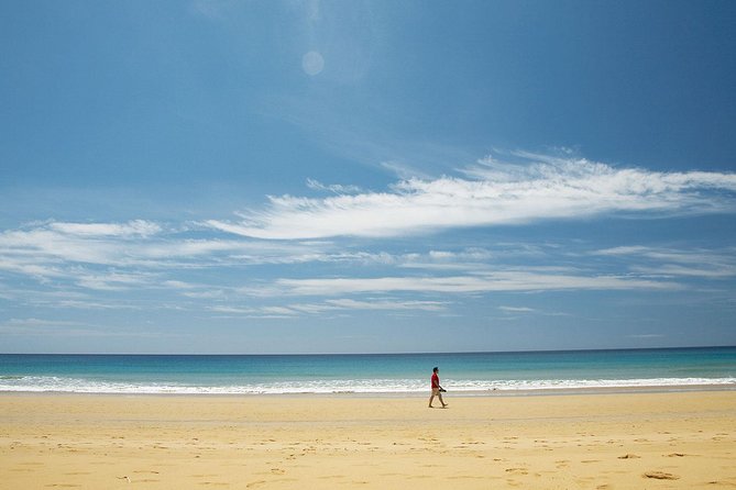 Porto Santo One-Day Cruise and Tour - Transfers, group size, and the pace you should expect