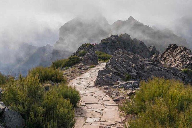PR1 Pico do Arieiro Self-Guided Hiking Transfer (Morning slot) - The finish at Funchal Ecological Park: donkeys and warm-up time