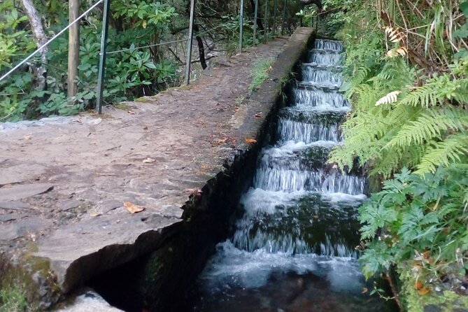 PR6 25 Fountains/Risco Levada Walk - Pickup, timing, and the small-group vibe you actually feel