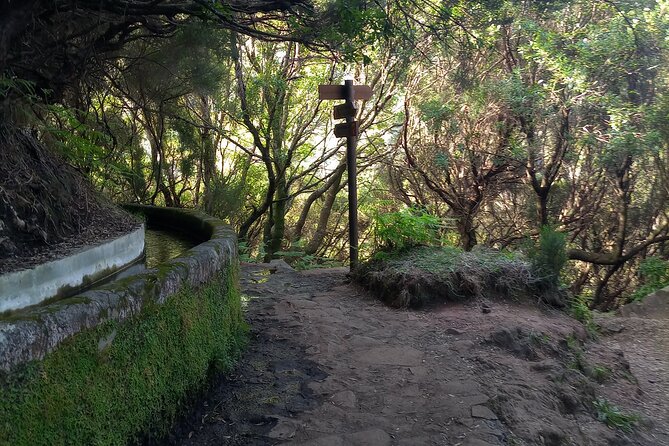 PR6 25 Fountains/Risco Levada Walk - Price and value: what $102.13 gets you in real terms