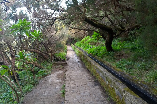 PR6 25 Fountains/Risco Levada Walk - What to pack and how to pace a 9km levada walk