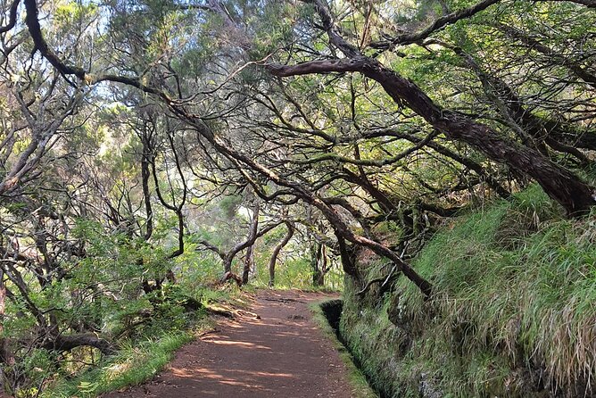 PR6 & PR6.1 25 Fontes & Risco Levada Self-Guided Hiking Rabaçal - Key reasons this Rabaçal hike tour is worth it