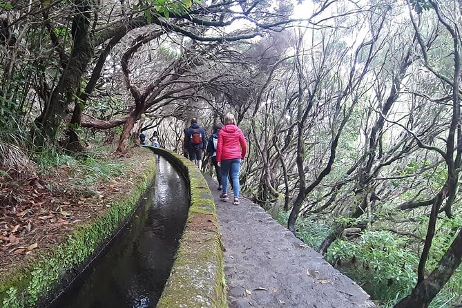 PR6 & PR6.1 25 Fontes & Risco Levada Self-Guided Hiking Rabaçal - Stop 2: Levada do Risco, the part you feel in your calves